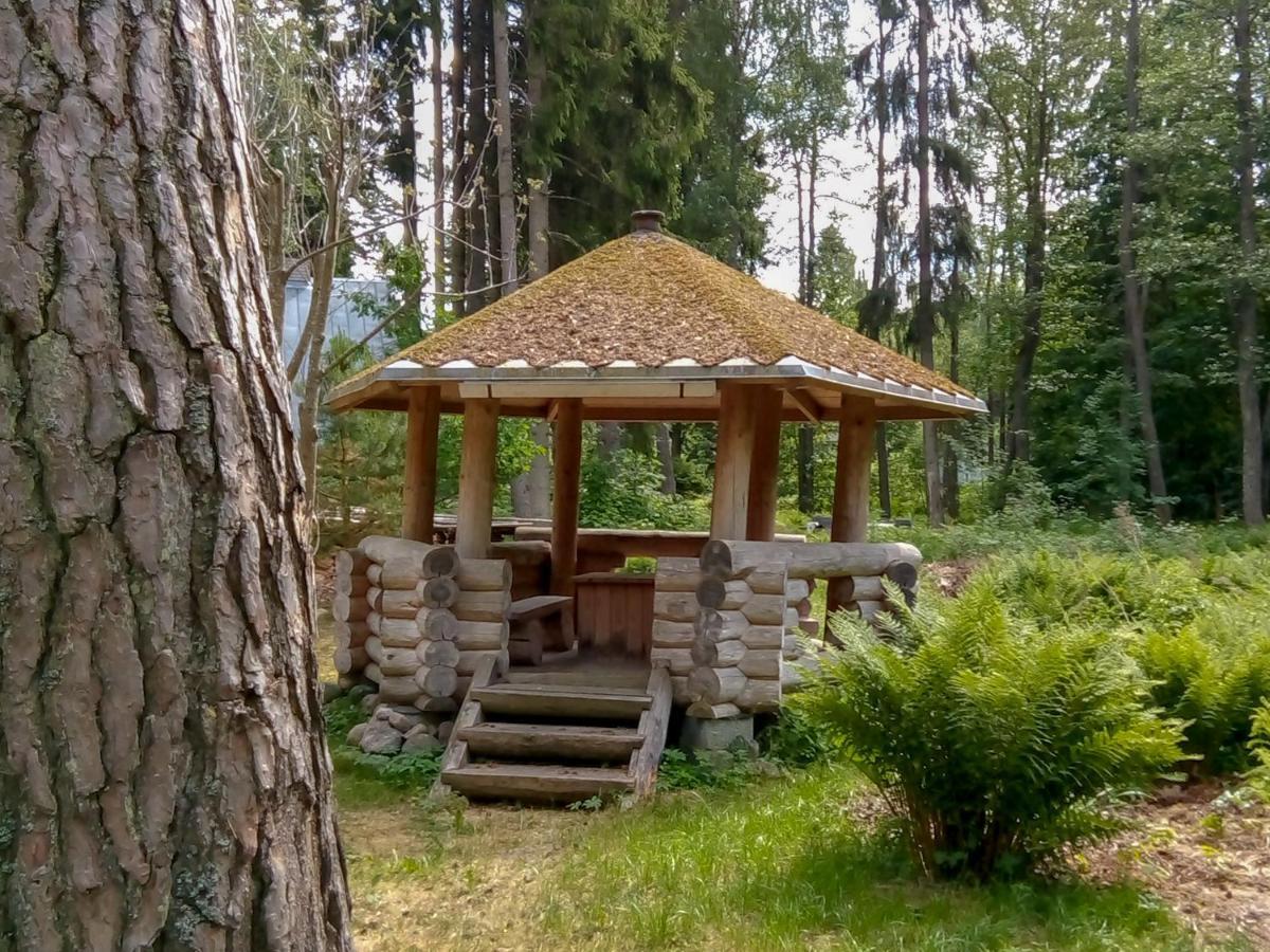 Nature Guest House Võsu المظهر الخارجي الصورة